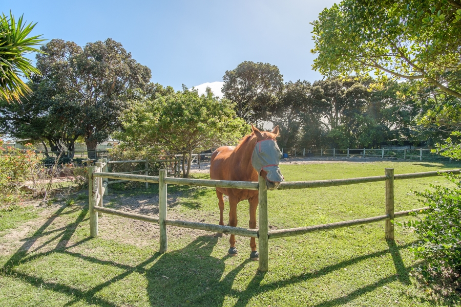 0 Bedroom Property for Sale in Chapman